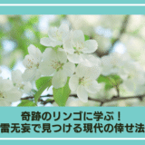 奇跡のリンゴに学ぶ！天雷无妄　二爻で見つける現代の倖せ法則